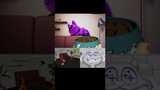 DOG vs CAT - POPPY PLAYTIME CHAPTER 3 | GH'S ANIMATION