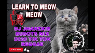 LEARN TO MEOW MEOW BUDOTS MIX DJ JHANZKIE TIK TOK 2020