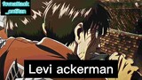 Levi ackerman