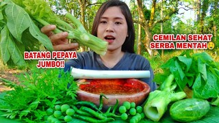 MUKBANG BATANG POHON PEPAYA MENTAH LALAPAN MENTAH TANPA NASI#mukbanglalapan#mukbang#asmr#papayatree