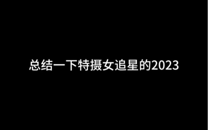 总结一下特摄女追星的2023