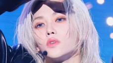 Blue Storm Quartet [Felix Li Longfu 4K direct shot] "Chk Chk Boom"｜240810 Stray Kids Direct Shot