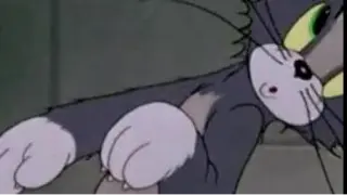 Tom and Jerry â™¦ Fraidy Cat â™¦ Audio - Film completo Italiano Cartoni Animati