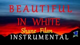 BEAUTIFUL IN WHITE  - SHANE FILAN instrumental (lyrics)