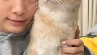 中国魔性吸猫视频引起外网网友共鸣