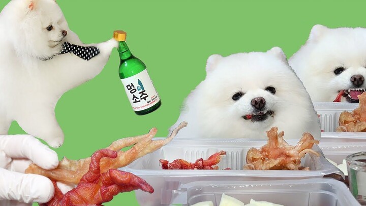 Animal|Dog Drinks and Eats BBQ