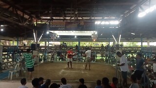 bulik second fight para champion