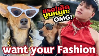 หมูทะ vs แม่บูม want your Fashion (แฟชั่นหมูทะ ยกกำลัง2)