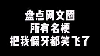 网文圈所有名梗，假牙都笑飞了