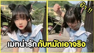 เมทสาวน่ารัก ปลดปล่อย หมัดเอาจริง !! #รวมคลิปฮาพากย์ไทย