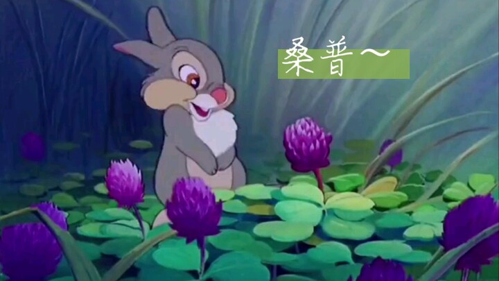 【小鹿斑比】中的桑普这么可爱呀～