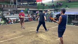 2hits 1st fight draw Cainta