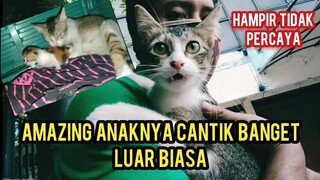 Kuasa Allah Kucing Yang Disabilitas Ini Telah Melahirkan Anaknya Sangat Menakjubkan..!