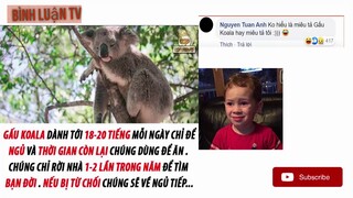 Bình Luận TV. Top comment Hài Hước Nhất FACEBOOK.Phần 19