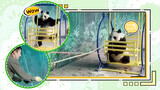 Panda bahagia yang sedang makan bambu sambil main ayunan