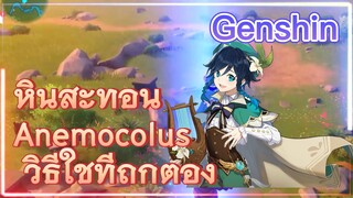 หินสะท้อน Anemocolus วิธีใช้ที่ถูกต้อง