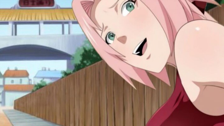 MOMEN SAKURA DAN KABUTO ANU ANU AN