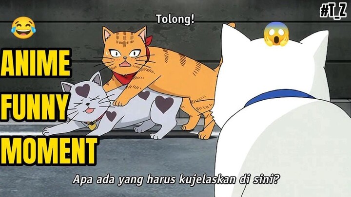 Kesalahpahaman Yang Sulit Dijelaskan,Malah Nimbrung😂🤣