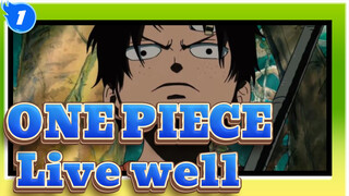 ONE PIECE|[Ace]Please take my part and live well|Teenager_1