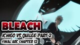 Quilge vs Ichigo | Bleach Final Arc Chapter 12