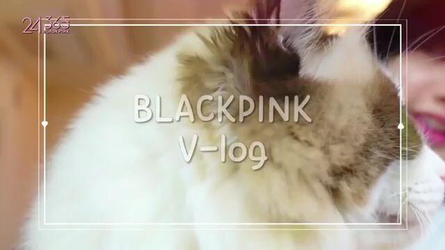 Blackpink comedy show episode 2