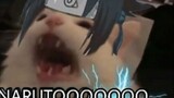 【Naru Sa】Reaksi marah Sasuke saat dia bangun dua kali