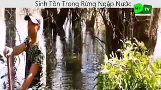 Sinh tồn trong rừng ngập nước p9