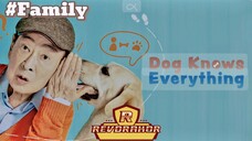 DOG KNOWS EVERYTHING  - Review Drakor Persahabatan Antara Lansia dan Anjing.