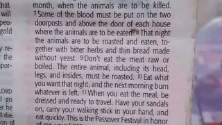 Daily Verse.                  Exodus 12:6-11