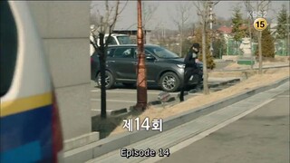 Healer Hilleo 2014 episode 14 sub Indo