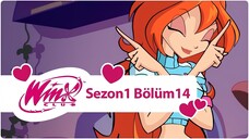 Winx Club - Sezon 1 Bölüm 14 - Bloom Gerçekte Kim?