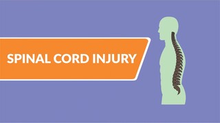 Spinal Cord Injury