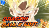 Dragon Ball Z Edit_1