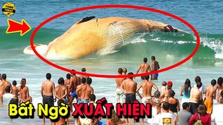 Giải Mã 10 Hiện Tượng Kỳ Lạ và Bí Ẩn Nhất Từng Xảy Ra Trên Đại Dương...Bạn Sẽ Sốc Nặng Khi Biết