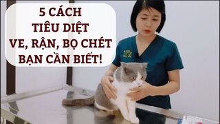 5 cách để loại bỏ ve, rận, bọ chét trên chó mèo