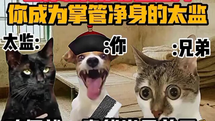 《猫meme小剧场》当你和兄弟穿越古代你成为掌管净身的太监时！