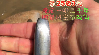 铁棒磨针第2503天