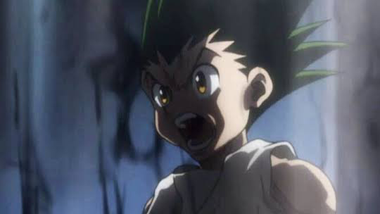 Hunter X hunter Song