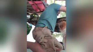 ai ...ai dành võng tao ...sống chết nha mài 🤣chó chó_cưng chócute pet pets petty thúcưng