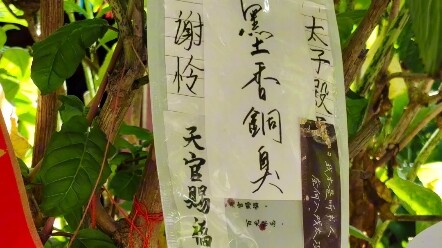 Mengunjungi Balai Pangeran Weibaoshan di Dali, Yunnan, dan bertemu dengan teman-teman buku asing sec