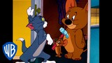 Tom & Jerry em Português | Brasil | Pegue-me se for capaz | WB Kids