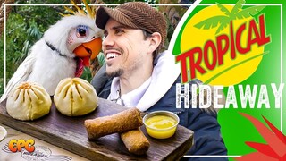 NEW Disneyland Food & Restaurant - TROPICAL HIDEAWAY Opening! Food Tasting!