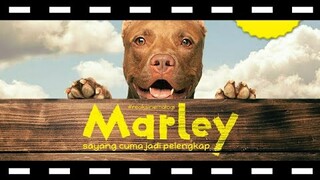 review Marley Sayang Cuma Jadi Pelengkap