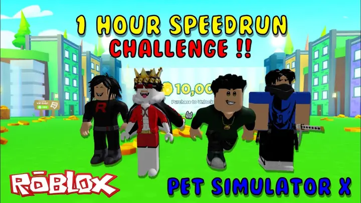 Pet Simulator X | Roblox - 1hour speedrun challenge!