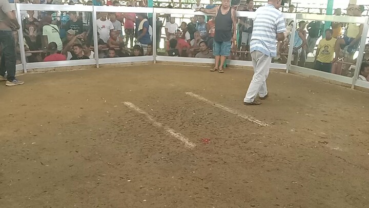 Hackfight 1st fight at Sabayan,Bohol