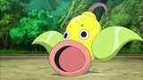 Pokémon the Series: XY - (The Green, Green Grass Types Of Home) EP.58