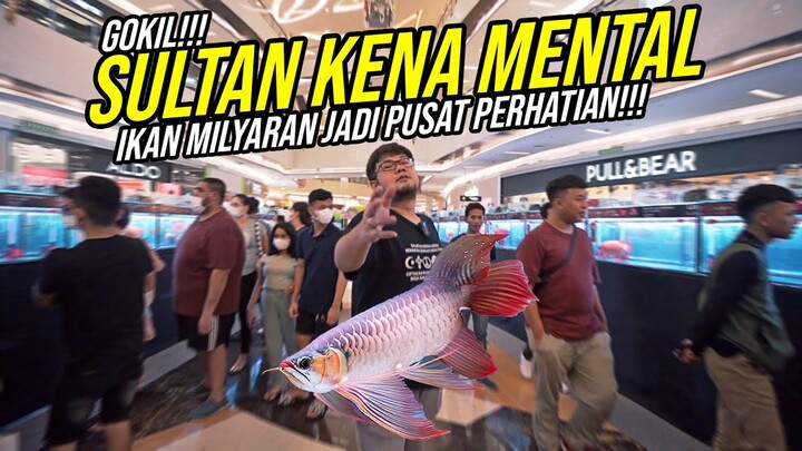 KENA MENTAL!!! AROWANA KUMPAI JADI PUSAT PERHATIAN!!! - PARA SULTAN KETAR KETIR?!!