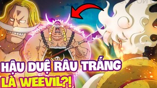 WEEVIL CON RUỘT RÂU TRẮNG?! | HẬU DUỆ CÁC HẢI TẶC VĨ ĐẠI TRONG ONE PIECE