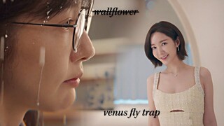 marry my husband / why be a wallflower when you can be a venus fly trap (fmv)