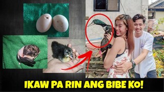 IKAW PA RIN ANG BIBE, ESTE BABY KO!